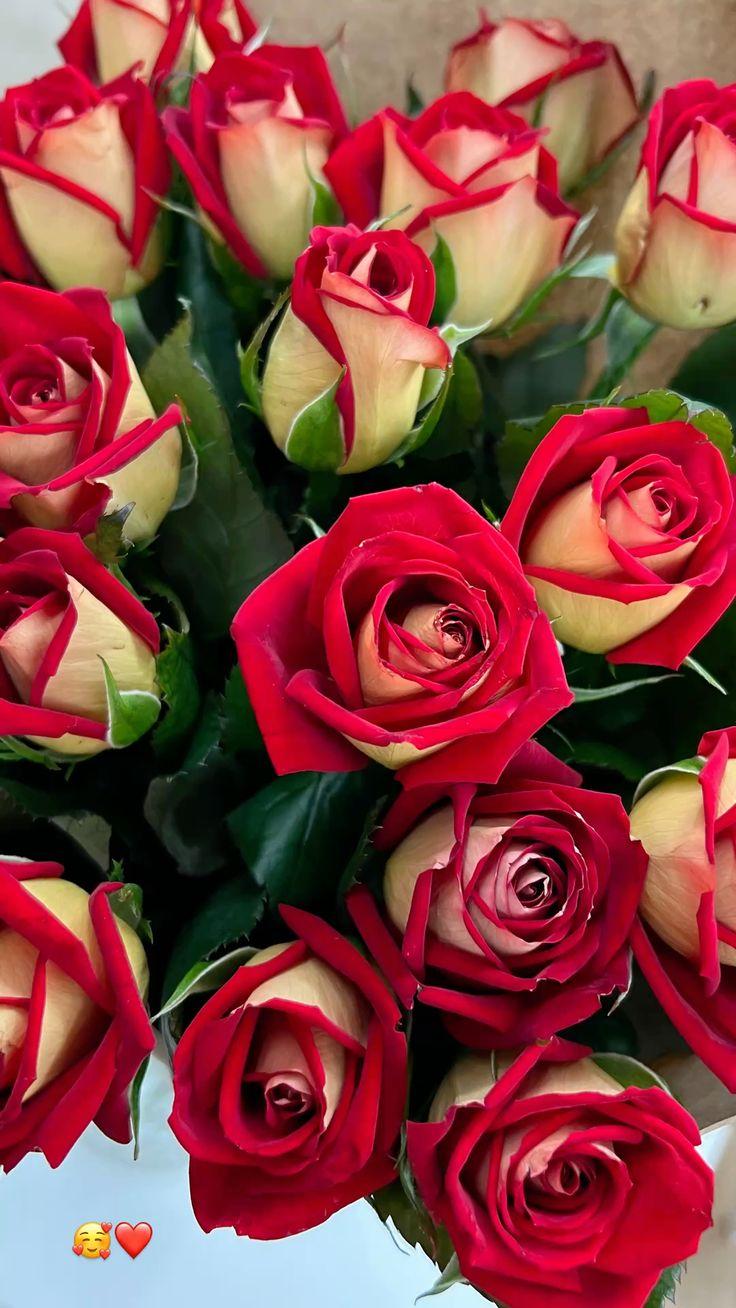 Stem & Story Studio workshop space where corporate flower arrangements are designed and prepared for business delivery